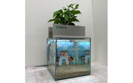 水槽セット　25cm  せせらぎビオトープ　アクアリウム　照明　熱帯魚　植物 779693 - 広島県東広島市