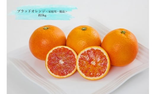 ブラッドオレンジ 家庭用 優品 約5kg ４月上旬頃より順次発送開始予定 愛媛県松山市 ふるさと納税 ふるさとチョイス