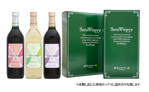 クーポン最安価格 日本ワイン3本セット www.villademar.com