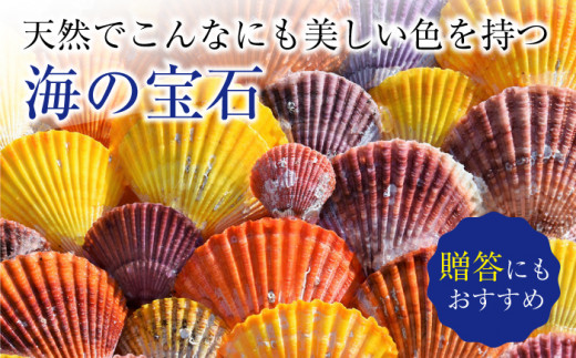 先行予約 数量限定 ホタテより甘い ヒオウギ貝 枚 西彼町漁協 Cbz009 長崎県西海市 ふるさと納税 ふるさとチョイス