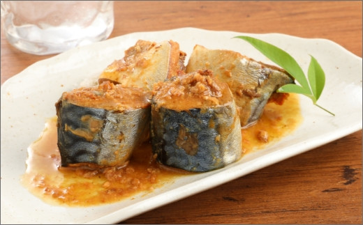 C0 031 さば味噌煮缶セット 24缶 長崎県松浦市 ふるさと納税 ふるさとチョイス