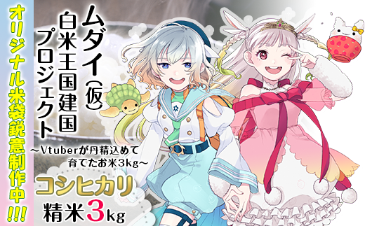 31 02ムダイ 仮 白米王国建国プロジェクト Vtuberが丹精込めて育てたお米3kg 茨城県阿見町 ふるさと納税 ふるさとチョイス