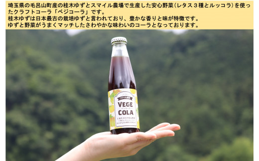 桂木ゆずと野菜のクラフトコーラ ベジコーラ ストレート 0ml 8本セット 埼玉県毛呂山町 ふるさと納税 ふるさとチョイス