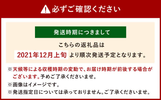 21年12月上旬より順次発送 熊本県産 ハウス 晩白柚 2玉 2lサイズ 4kg以上 果物 ばんぺいゆ 熊本県八代市 ふるさと納税 ふるさとチョイス