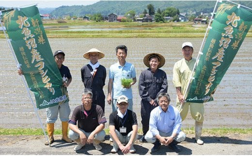 【6ヶ月連続お届け】北魚沼産コシヒカリ(長岡川口地域)5kg