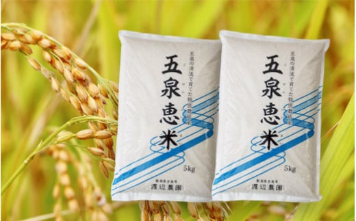 令和5年産【I031】渡辺農園の特別栽培米コシヒカリ20kg 620692 - 新潟県五泉市