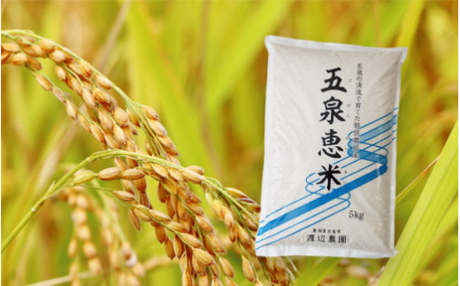 令和5年産【F-02】渡辺農園の特別栽培米コシヒカリ5kg 620700 - 新潟県五泉市