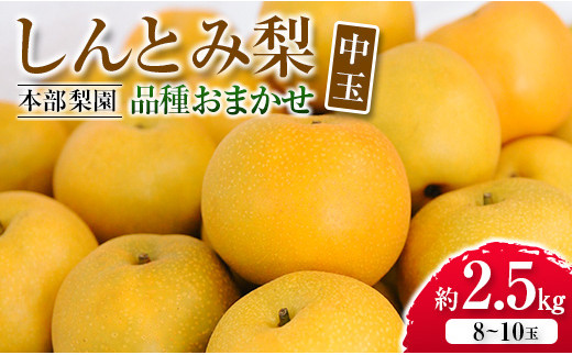 本部梨園の『しんとみ梨』品種おまかせ 中玉 合計2.5kg(8~10玉)【A203】