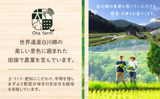 岐阜県白川村のふるさと納税 【数量限定】先行予約 戸ヶ野の野菜セット 5～8種セット  2024年8月～順次発送 [S695]