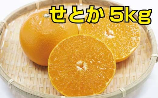 光センサー選別／【訳あり】ちょこっと訳ありせとか 約5kg【ご家庭用