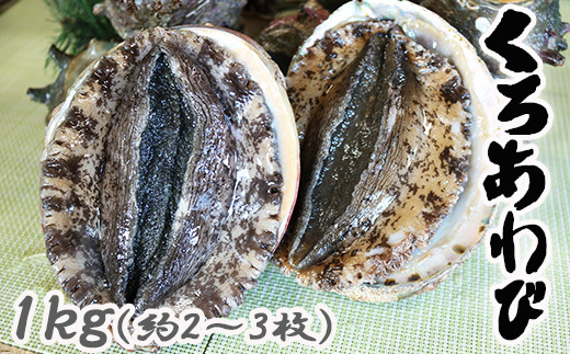 食のプロ御用達 高級 活き黒アワビ１kg 活きサザエ３kg 10 44 千葉県鴨川市 ふるさと納税 ふるさとチョイス