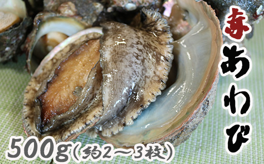 3 67 食のプロ御用達 天然 活き赤アワビ500g 活きサザエ２kg 千葉県鴨川市 ふるさと納税 ふるさとチョイス