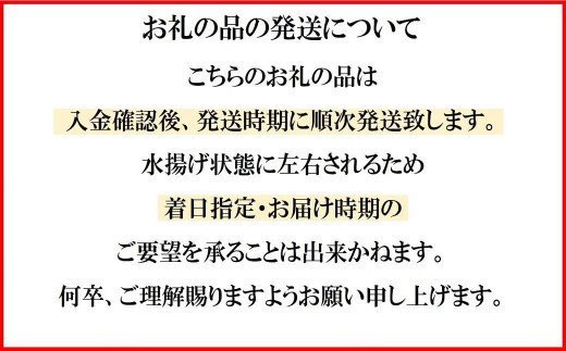 三陸産生うに 瓶詰100g×3本【令和6年6月発送】【配送日指定不可】［35