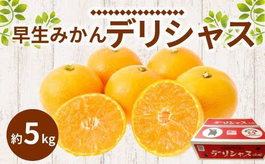 【11月上旬～順次発送予定】早生みかん デリシャス 約5kg 果物 フルーツ 柑橘 宇城彩館