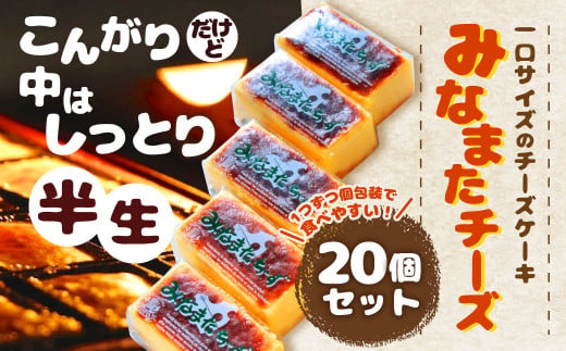 みなまた チーズ 計800g (40g×20個) ケーキ お菓子 冷凍 271853 - 熊本県水俣市