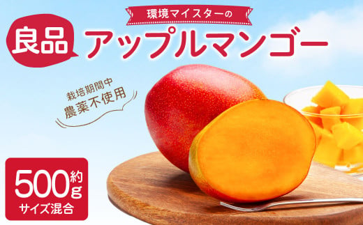 環境マイスターの【良品】アップルマンゴー 500g