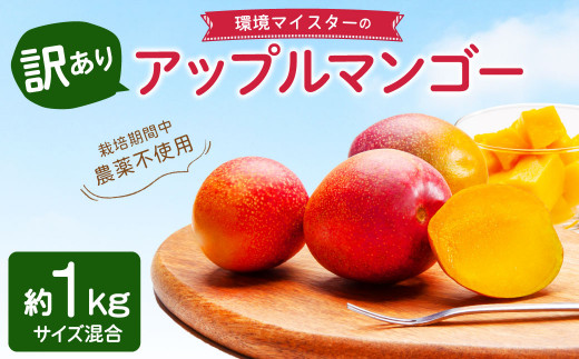 環境マイスターの【ワケあり】アップルマンゴー 1kg