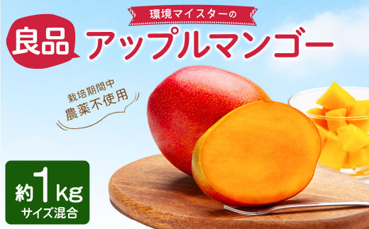 環境マイスターの【良品】アップルマンゴー 1kg