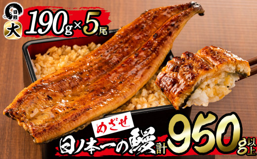c6-054 日ノ本一の鰻の蒲焼き<大>5尾セット(計950g以上) - 鹿児島県 ... c6-054 日ノ本一の鰻の蒲焼き<大>5尾セット(計950g以上) - 鹿児島県 ...