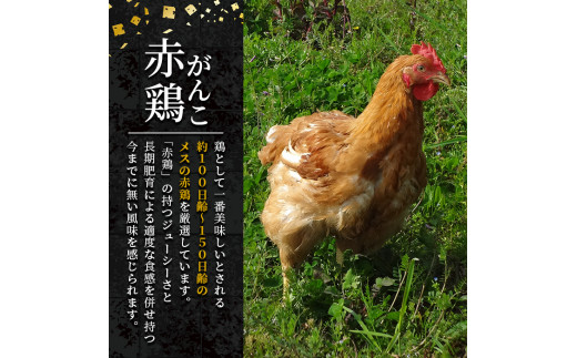 I041 鹿児島県産 がんこ赤鶏セット 計800g モモ肉 100g 5p ムネ肉 100g 3p 国産の出水市産の鶏肉 雌鶏 のみを厳選 小分け真空タイプ 赤鶏農業協同組合 鹿児島県出水市 ふるさと納税 ふるさとチョイス