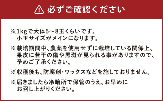 環境マイスターの【ワケあり】アップルマンゴー 1kg