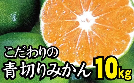 2024年秋頃発送予約分】こだわりの青切りみかん 約7.5kg 有機質肥料100