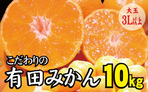 農家直送 有田みかん 約10kg 大玉3l以上 有機質肥料100 21年12月初旬 1月中旬に順次発送 お届け日指定不可 和歌山県北山村 ふるさと納税 ふるさとチョイス