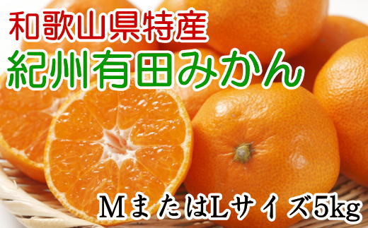 [秀品]和歌山有田みかん　5kg(MサイズまたはLサイズのいずれか) ※2024年11月中旬～1月中旬頃順次発送 みかん 柑橘類