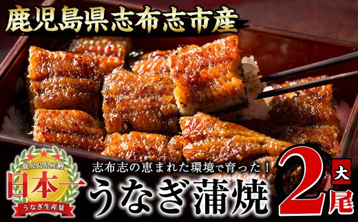 鹿児島県志布志市の 21年最新版 志布志市の鰻 部門別人気ランキング 寄附価格帯別 大きさno 1 ふるさと納税 ふるさとチョイス