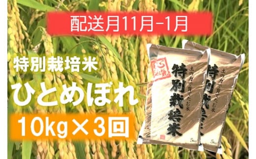 定期便3回【11月12月1月】エコファーマーのひとめぼれ10kg×3回