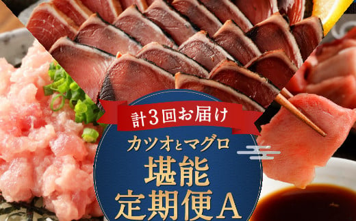 ３ヶ月連続 カツオとマグロ堪能定期便ａ 高知県室戸市 ふるさと納税 ふるさとチョイス