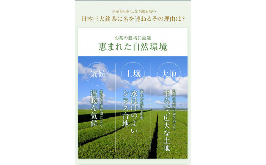 お茶のぶどう園 鹿児島煎茶「大綱みどり」特上煎茶・高級煎茶・上煎茶お楽しみ飲み比べセット下方