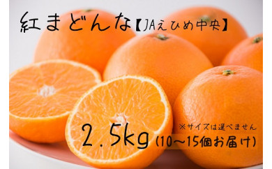 ★人気商品 発送は11月中旬~★紅まどんな【JAえひめ中央】約2.5kg(10~15個お届け)