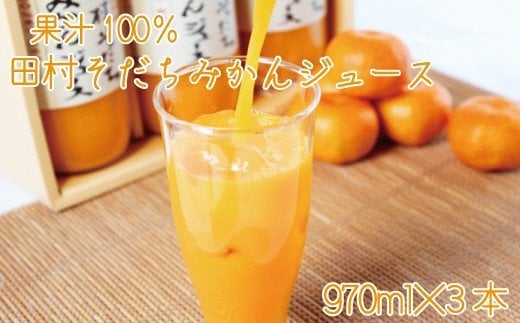 果汁100%　田村そだちみかんジュース　970ml×3本 763661 - 和歌山県古座川町
