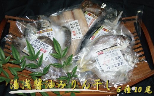 和歌山の近海でとれた新鮮魚の梅塩干物と湯浅醤油みりん干し6品種10尾入りの詰め合わせ 763700 - 和歌山県古座川町