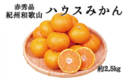 赤秀品　紀州和歌山ハウスみかん2.5kg【予約】※2025年6月下旬～7月中旬頃に順次発送予定(お届け日指定不可)【uot735A】 763727 - 和歌山県古座川町