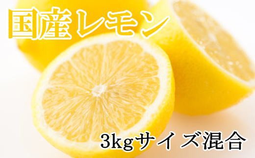 【産直】和歌山産レモン約3kg（サイズ混合）※2024年3月中旬～5月下旬頃に順次発送 763678 - 和歌山県古座川町
