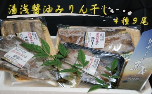 和歌山の近海でとれた新鮮魚の湯浅醤油みりん干し4品種9尾入りの詰め合わせ 763701 - 和歌山県古座川町