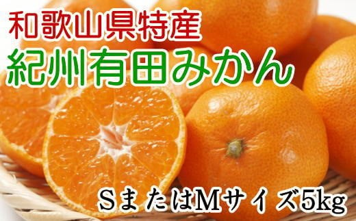 [秀品]和歌山有田みかん　5kg(SサイズまたはMサイズのいずれか)   先行予約 ※2024年11月中旬～1月中旬頃順次発送 みかん 柑橘類