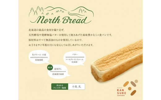 北海道産小麦100％高級ミニ食パン『ノースブレッド』とおまかせパン詰め合わせ【19022】