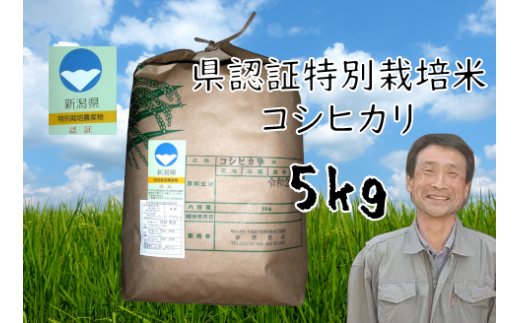 【3か月定期便】特別栽培米 コシヒカリ 5kg×3回 新潟県認証 1G14030 1133756 - 新潟県阿賀野市