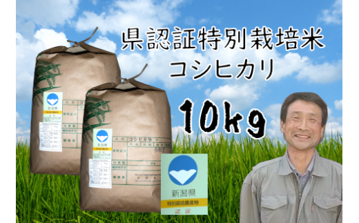 特別栽培米 コシヒカリ 10kg  新潟県認証  1G02020 248314 - 新潟県阿賀野市