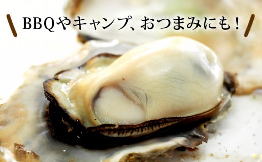 牡蠣 宮城県産 漁師の 牡蠣カンカン焼きセット（牡蠣15個）生牡蠣 殻