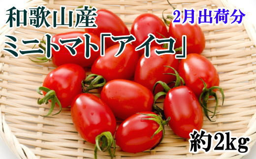 【2月出荷分】和歌山産ミニトマト「アイコトマト」約2kg（S・Mサイズおまかせ） 763704 - 和歌山県串本町