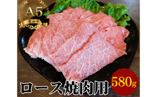 [葉山牛]580g ロース焼肉用 / 牛肉 黒毛和牛 神奈川県 特産品