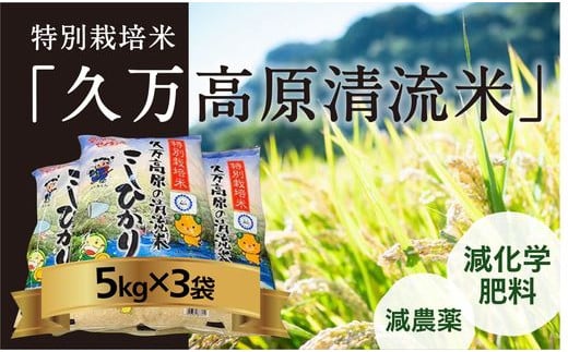 特別栽培米「久万高原清流米」令和5年コシヒカリ(5kg)×3袋セット 489040 - 愛媛県久万高原町