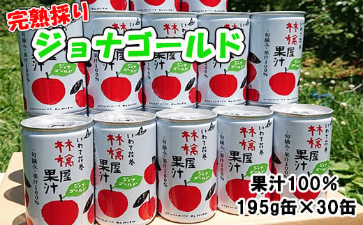 岩手県花巻市滝田産 宇津宮果樹園の林檎屋果汁りんごジュース30缶セット ジョナゴールド 635 2 岩手県花巻市 ふるさと納税 ふるさとチョイス