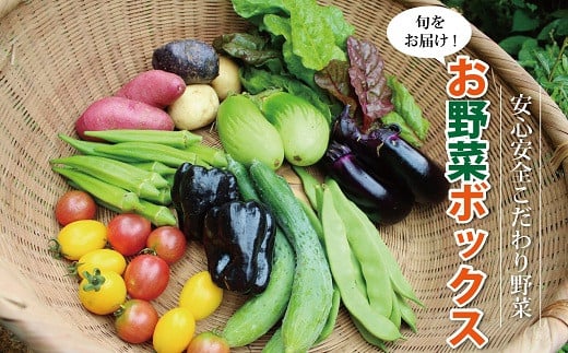 京丹波町で有機栽培や自然栽培により育てられた、安心安全でおいしい旬の野菜を７品目程度詰め合わせにしてお届けします。