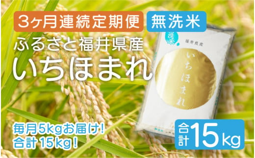 [051-c004] 定期便 ≪3ヶ月連続お届け≫ 無洗米 ふるさと福井県産 いちほまれ 5kg × 3回（計15kg）【米 ご飯 ご当地 お取り寄せ ブランド】