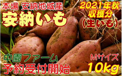 本場・安納地域産の「安納芋」です!10月からの発送分の予約を受け付け開始いたしました。